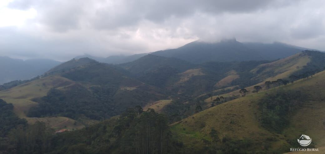 Terreno à venda, 133100m² - Foto 8