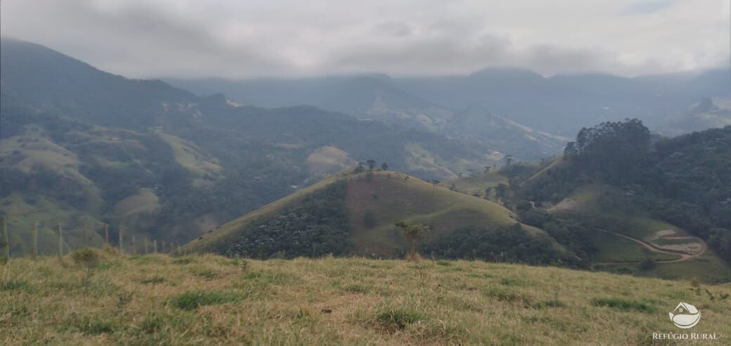 Terreno à venda, 133100m² - Foto 9