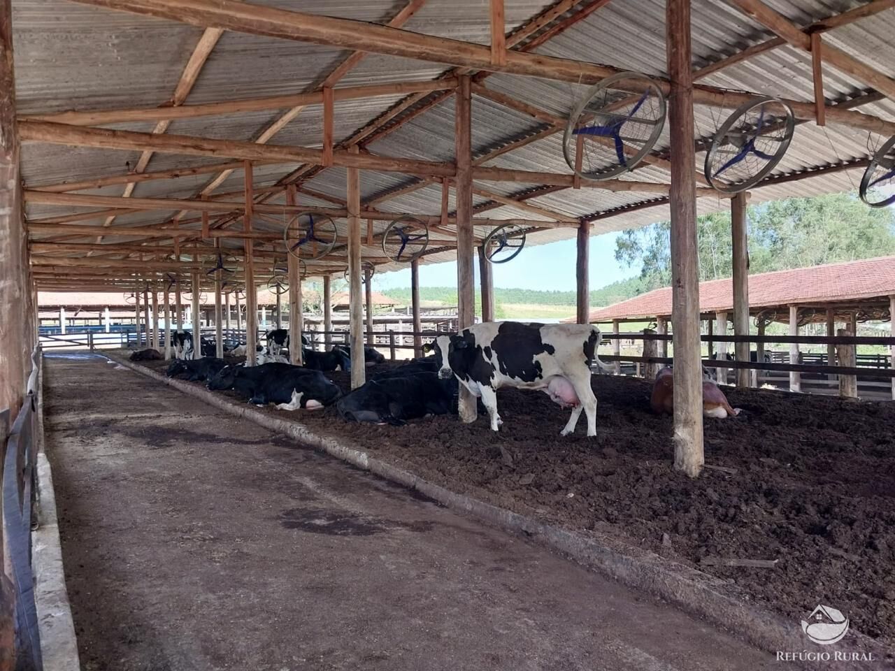 Fazenda à venda com 2 quartos, 2589400m² - Foto 33