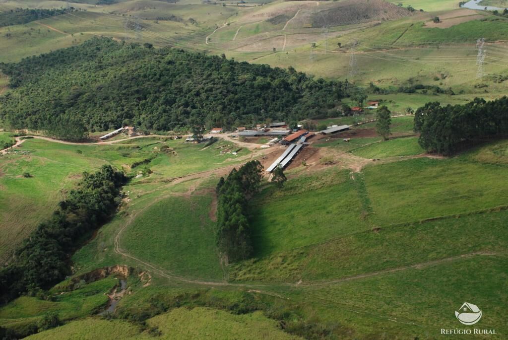 Fazenda à venda com 2 quartos, 2589400m² - Foto 35