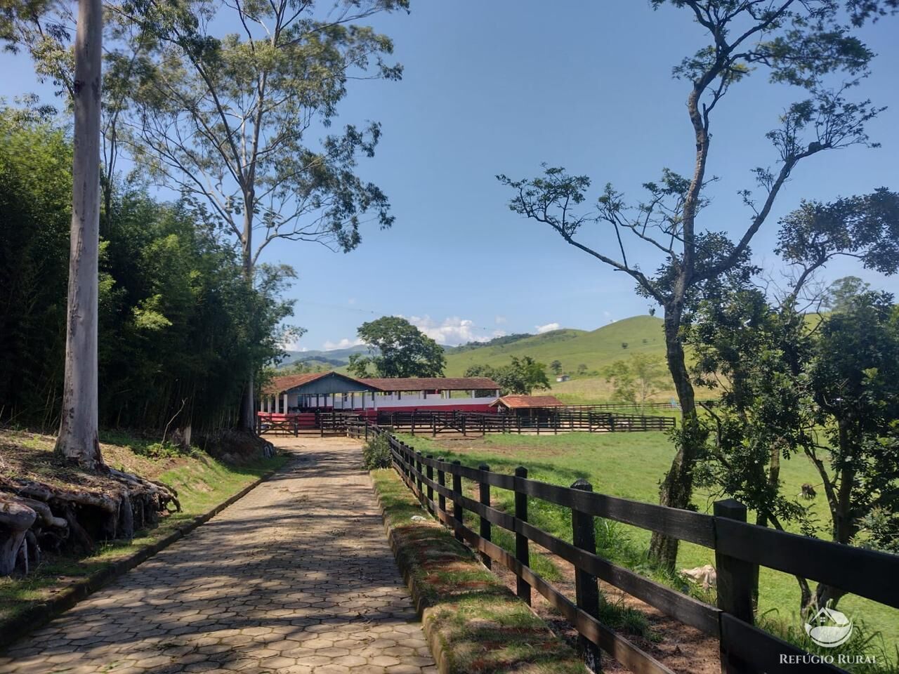 Fazenda à venda com 2 quartos, 2589400m² - Foto 4