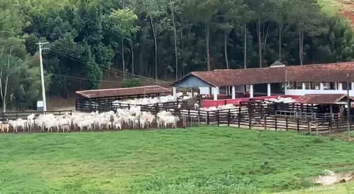 Fazenda à venda com 2 quartos, 2589400m² - Foto 3