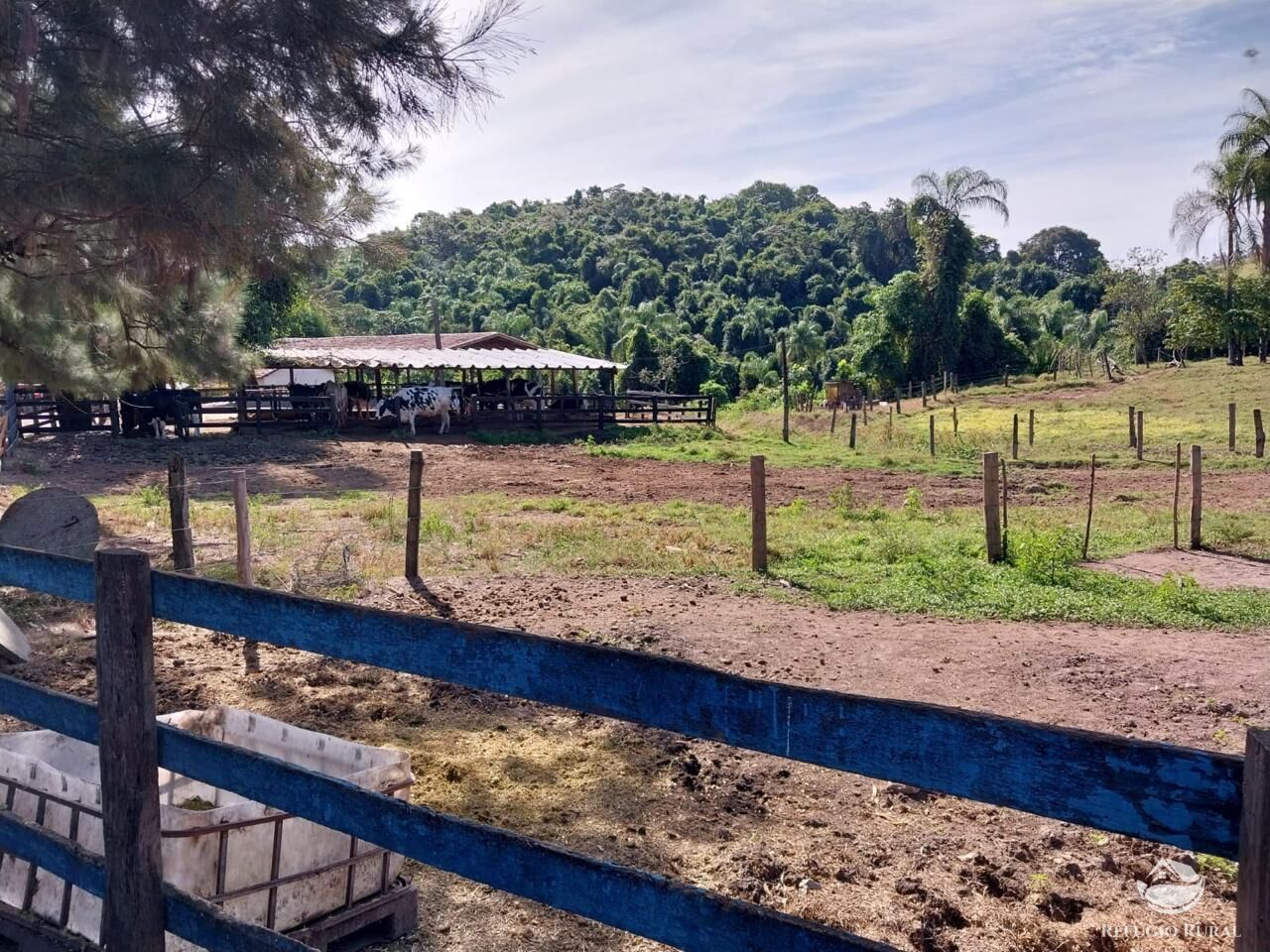 Fazenda à venda com 2 quartos, 2589400m² - Foto 22