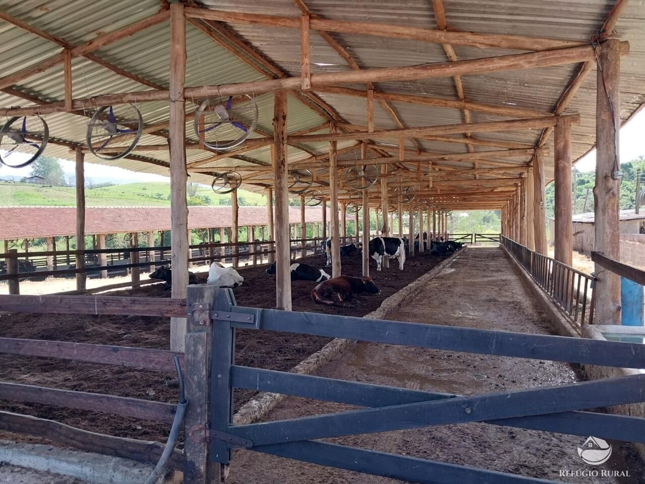 Fazenda à venda com 2 quartos, 2589400m² - Foto 23