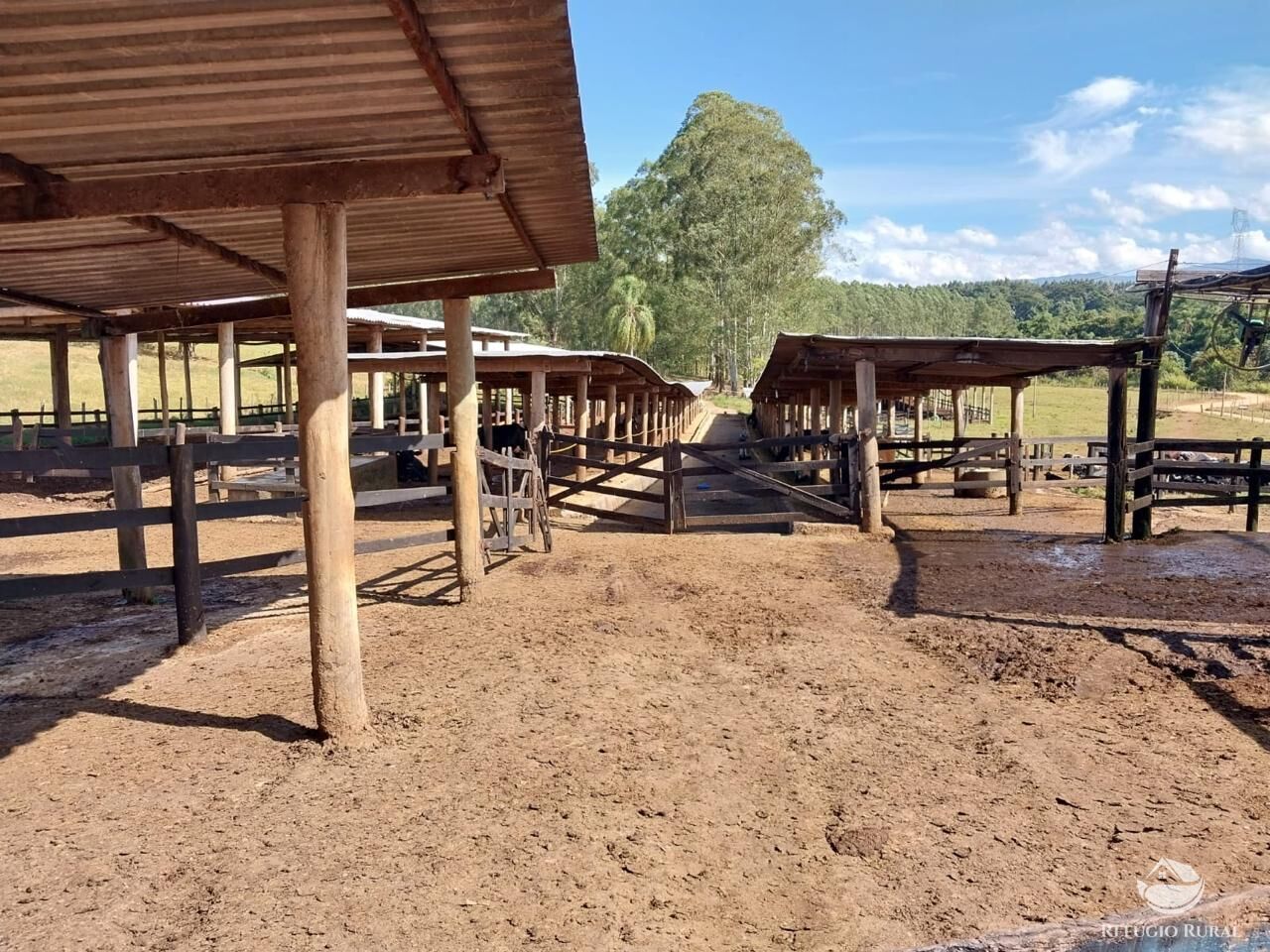 Fazenda à venda com 2 quartos, 2589400m² - Foto 31