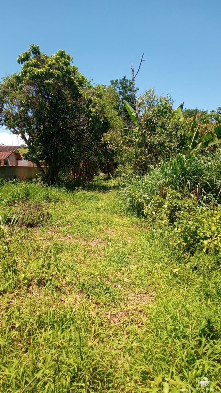 Fazenda à venda com 3 quartos, 1500m² - Foto 2