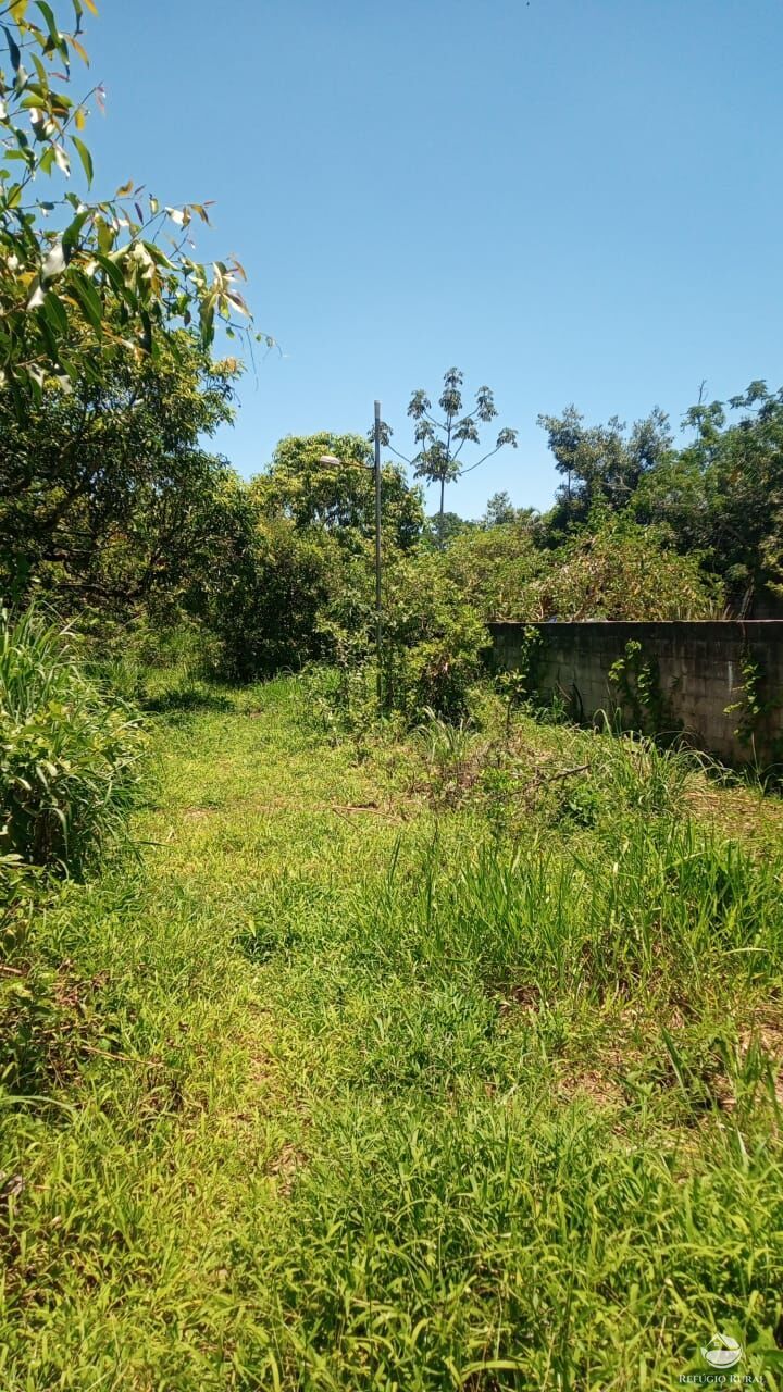 Fazenda à venda com 3 quartos, 1500m² - Foto 4