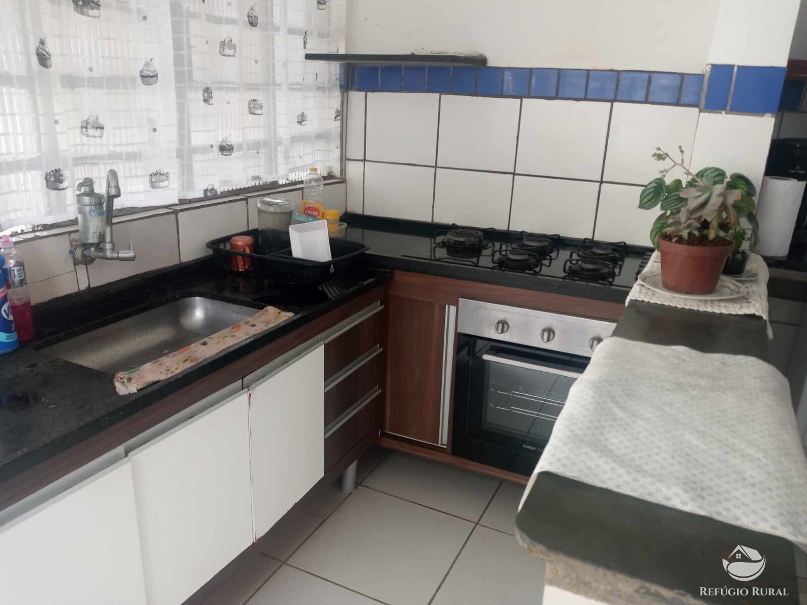 Fazenda à venda com 3 quartos, 1500m² - Foto 13