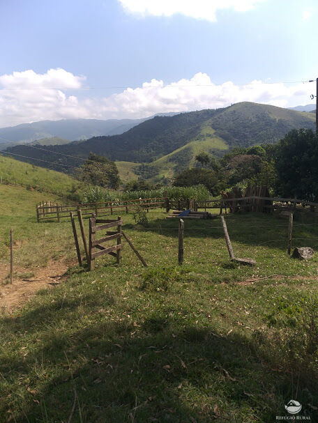 Fazenda à venda com 2 quartos, 605000m² - Foto 5