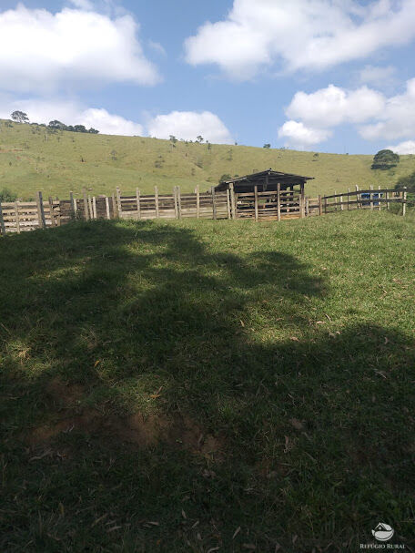 Fazenda à venda com 2 quartos, 605000m² - Foto 3