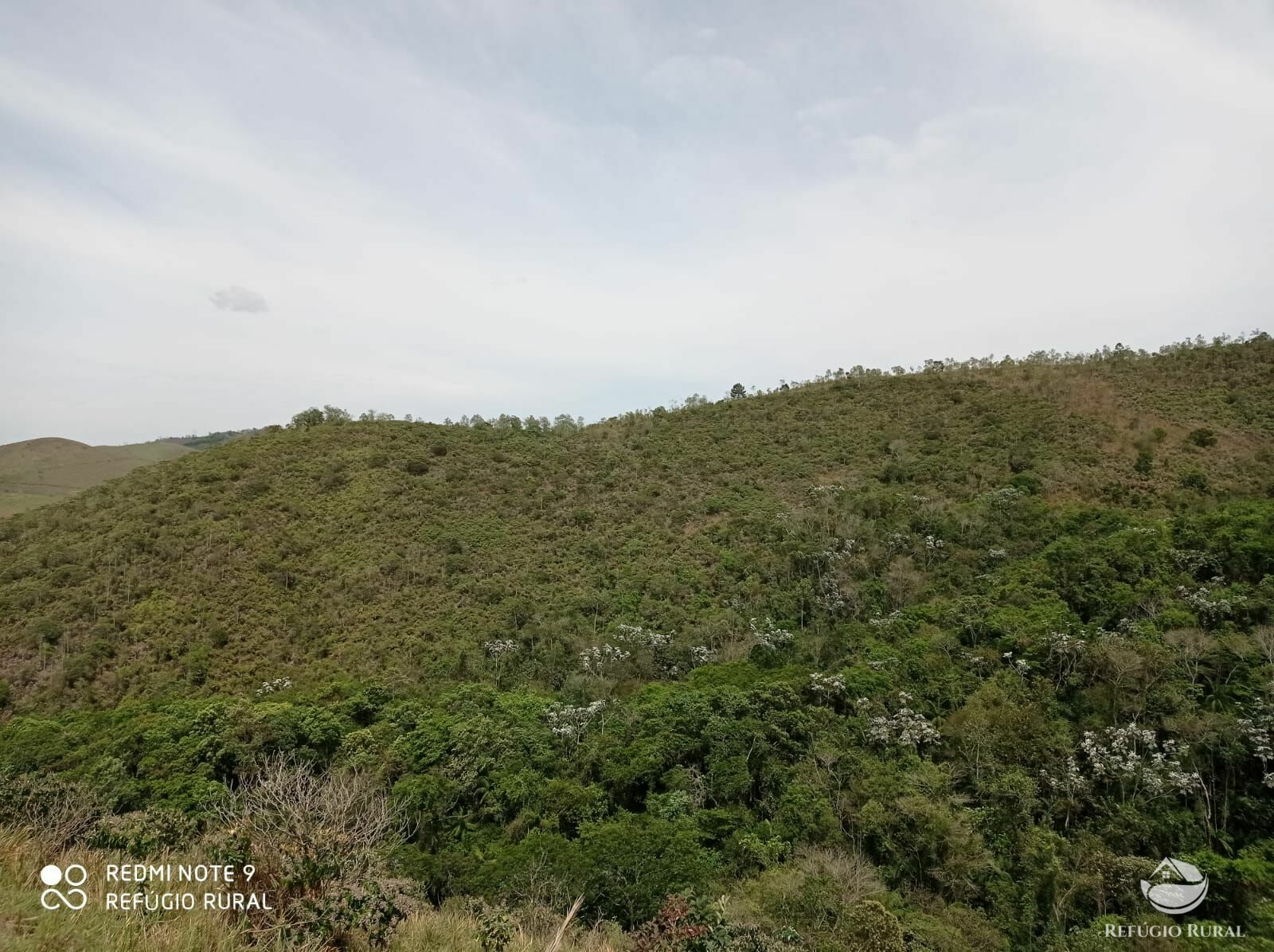 Fazenda à venda, 1694000m² - Foto 8