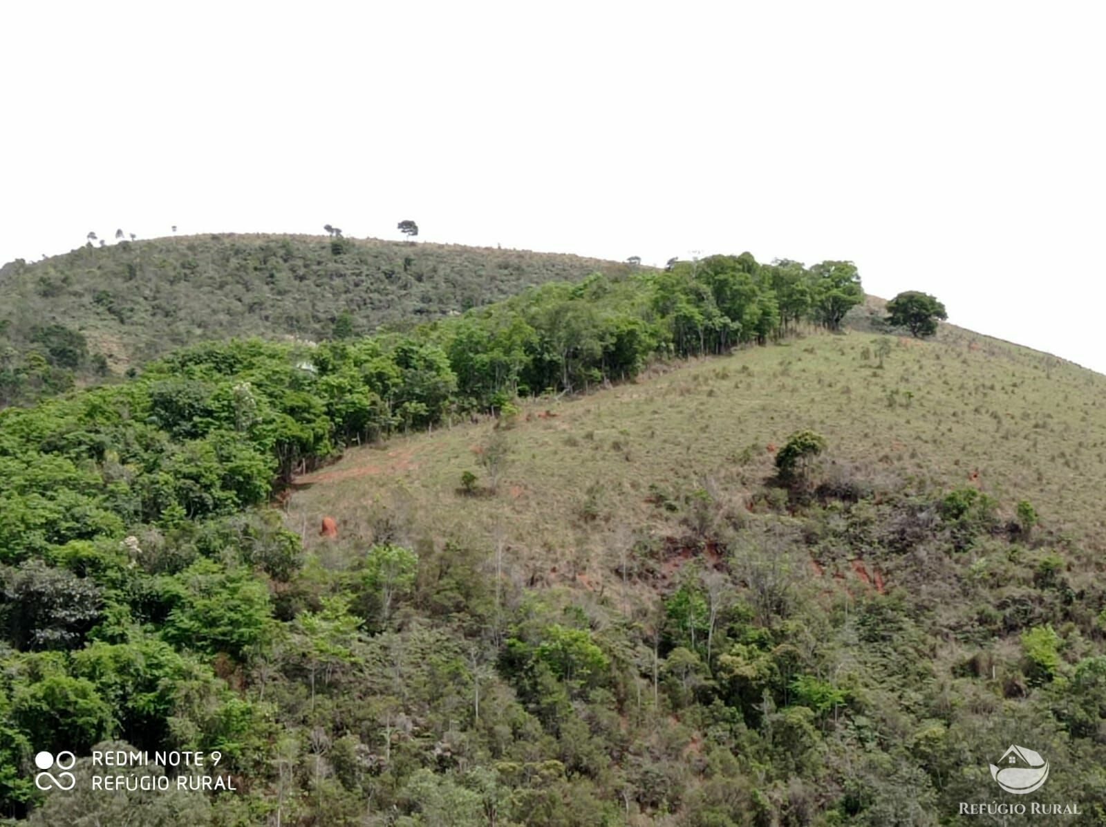 Fazenda à venda, 1694000m² - Foto 10