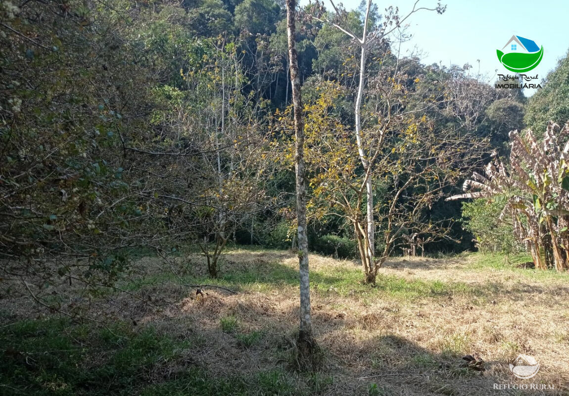 Fazenda à venda, 1694000m² - Foto 19