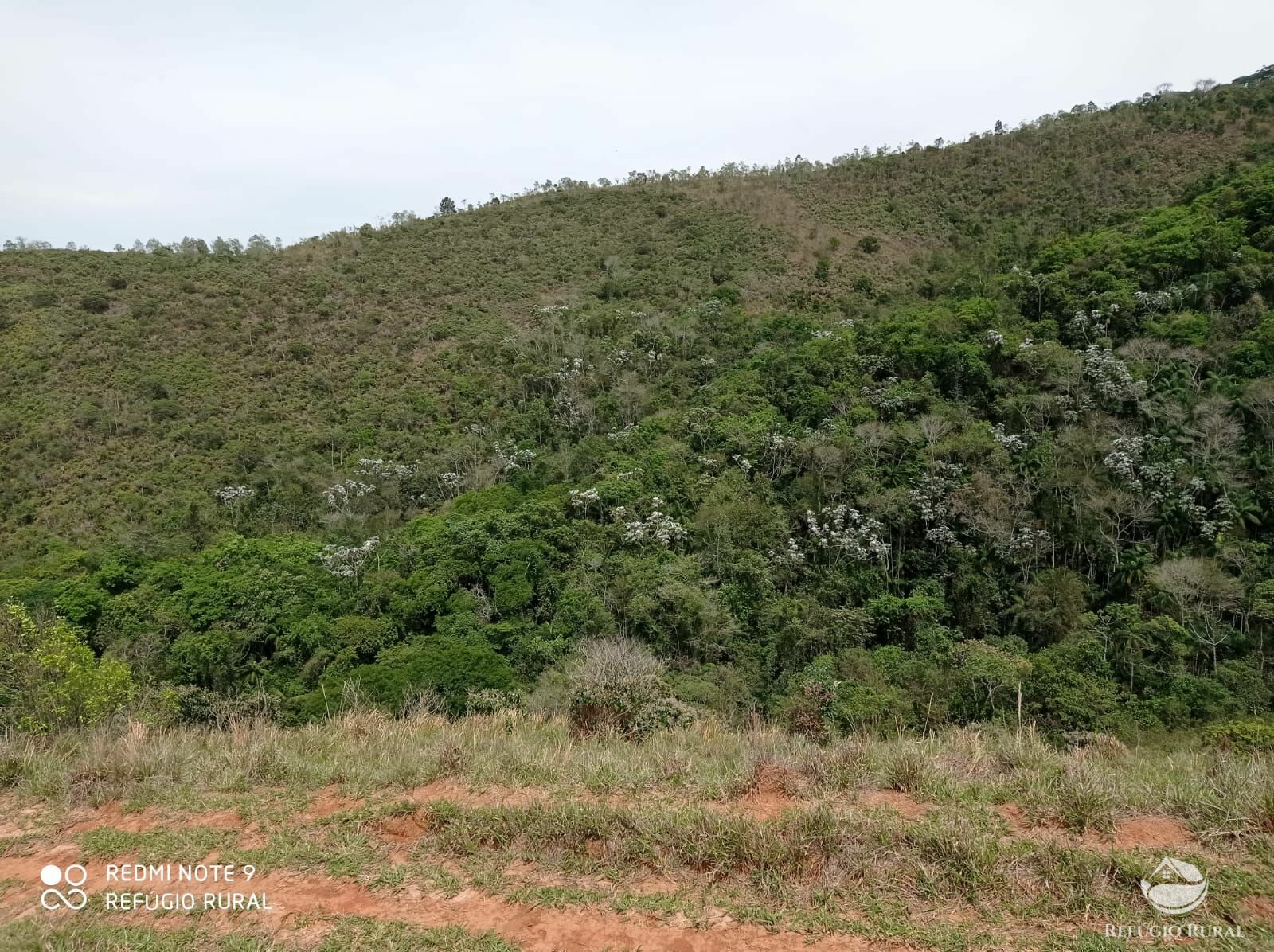 Fazenda à venda, 1694000m² - Foto 4