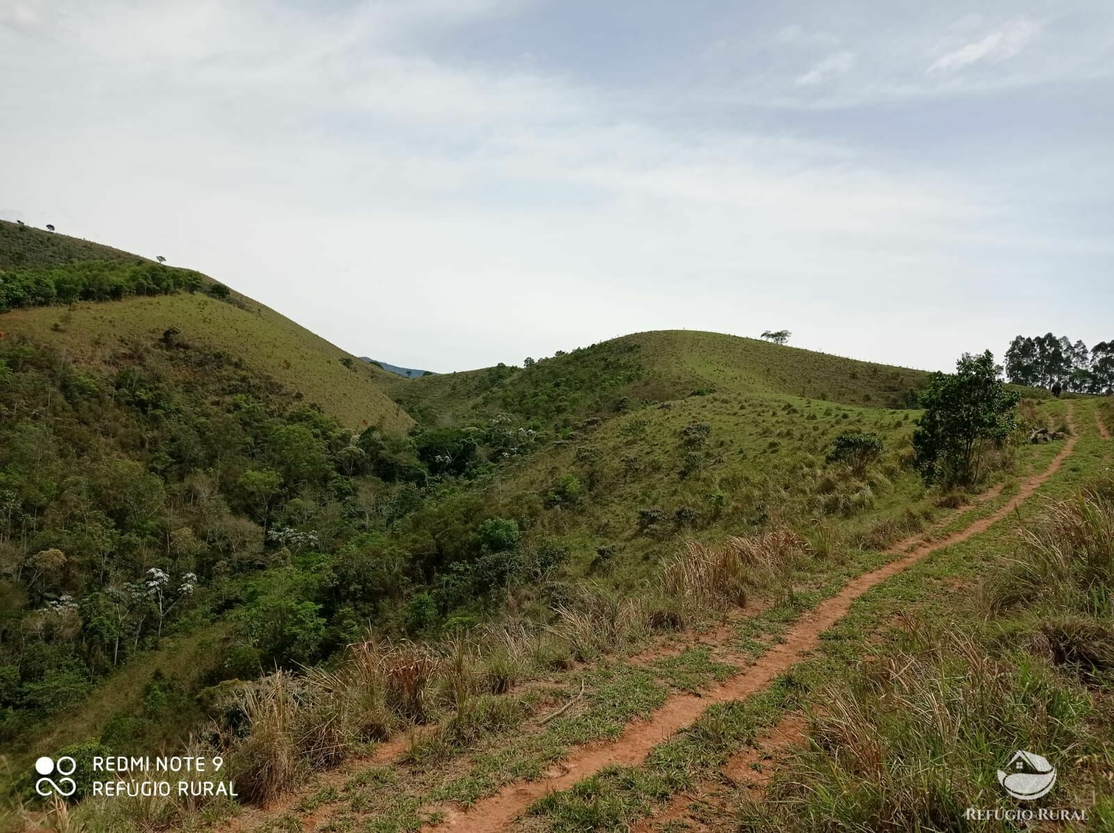 Fazenda à venda, 1694000m² - Foto 11