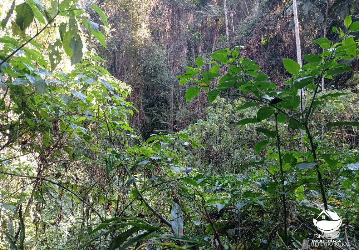 Fazenda à venda, 1694000m² - Foto 23