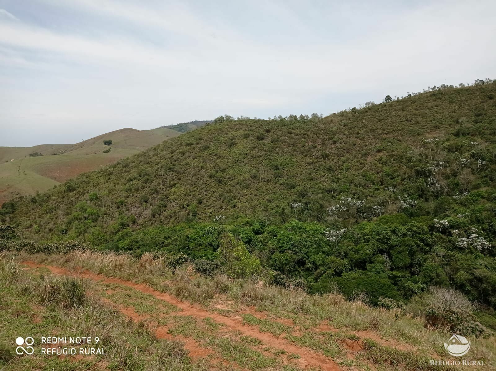 Fazenda à venda, 1694000m² - Foto 2