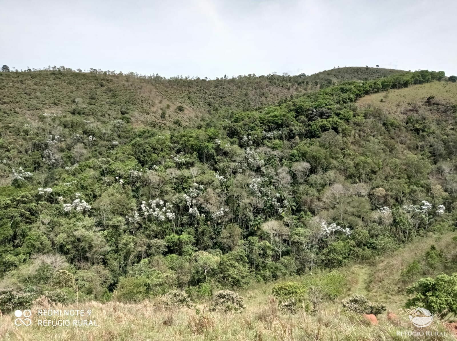 Fazenda à venda, 1694000m² - Foto 15