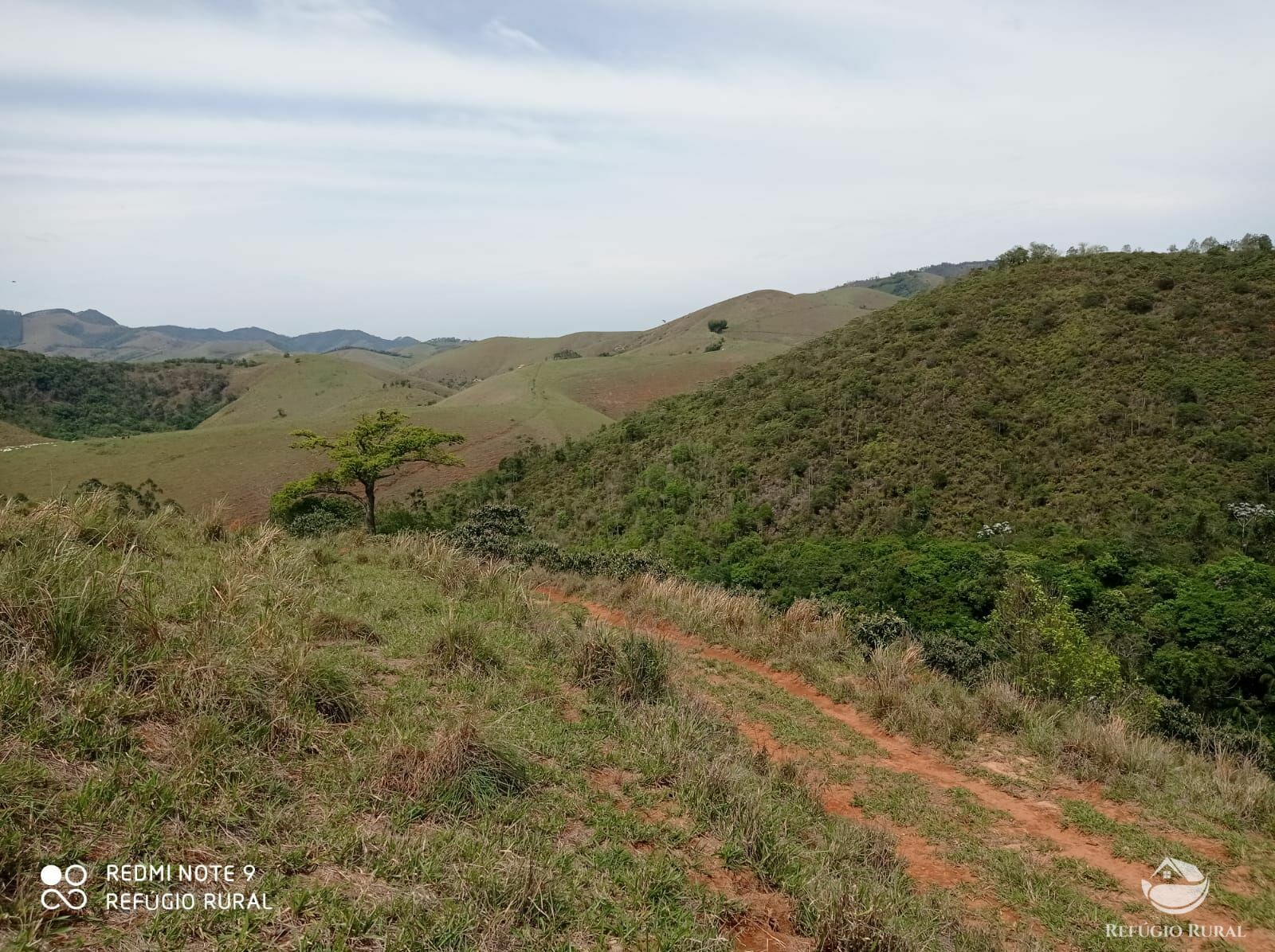 Fazenda à venda, 1694000m² - Foto 13