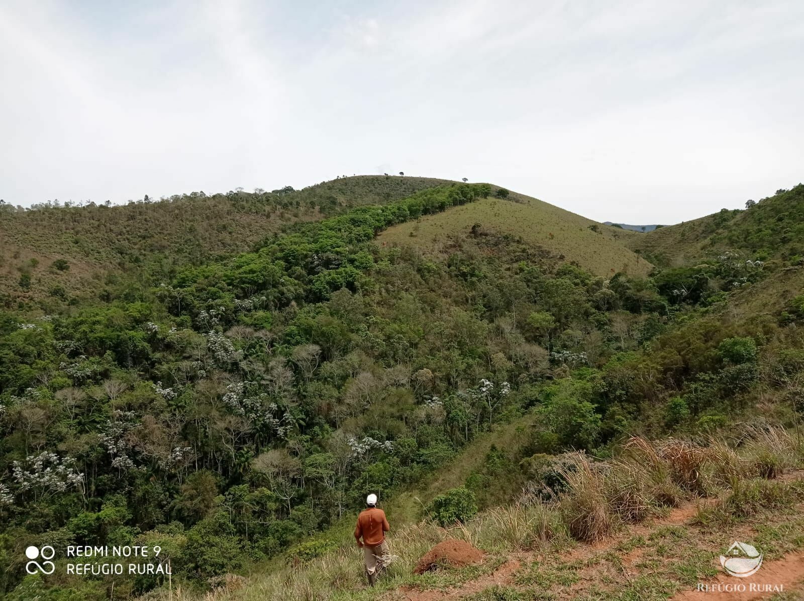 Fazenda à venda, 1694000m² - Foto 5