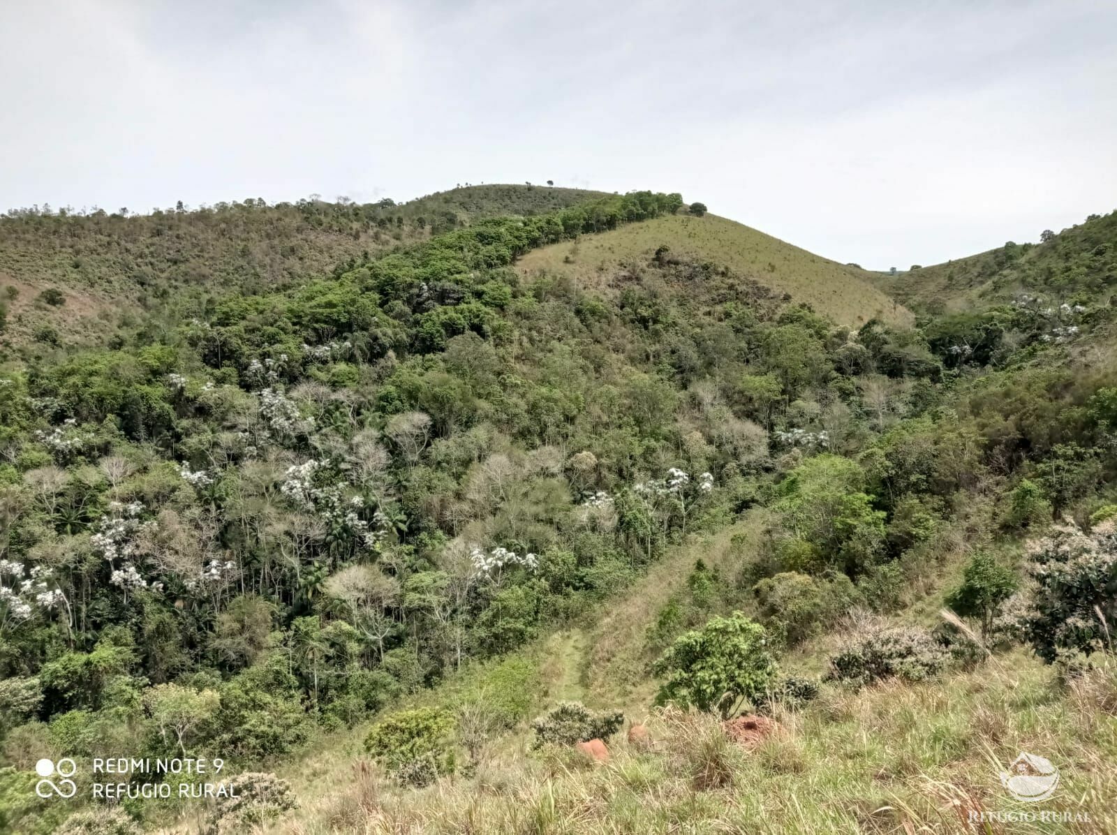 Fazenda à venda, 1694000m² - Foto 6