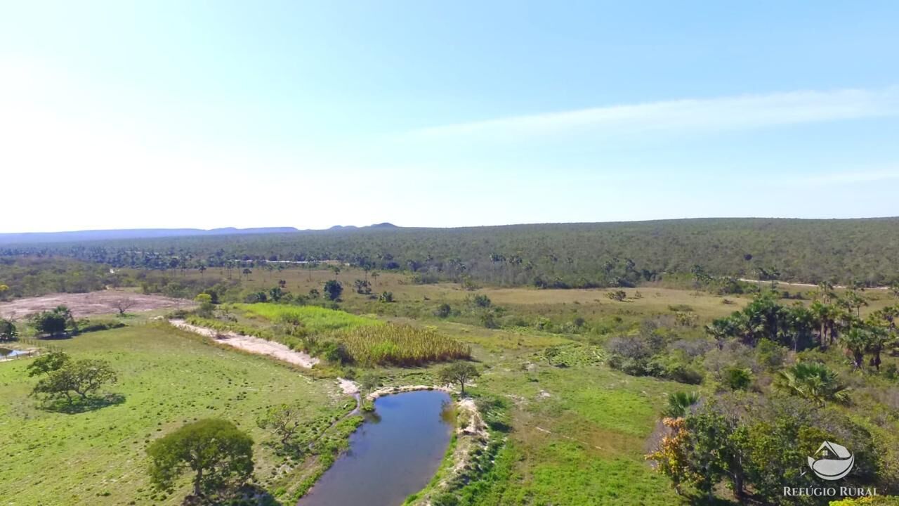 Fazenda, 10000 hectares - Foto 13