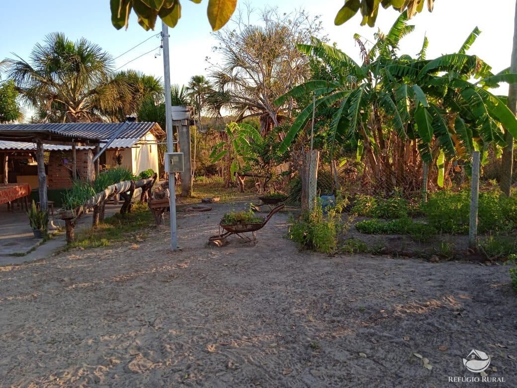 Fazenda, 10000 hectares - Foto 8
