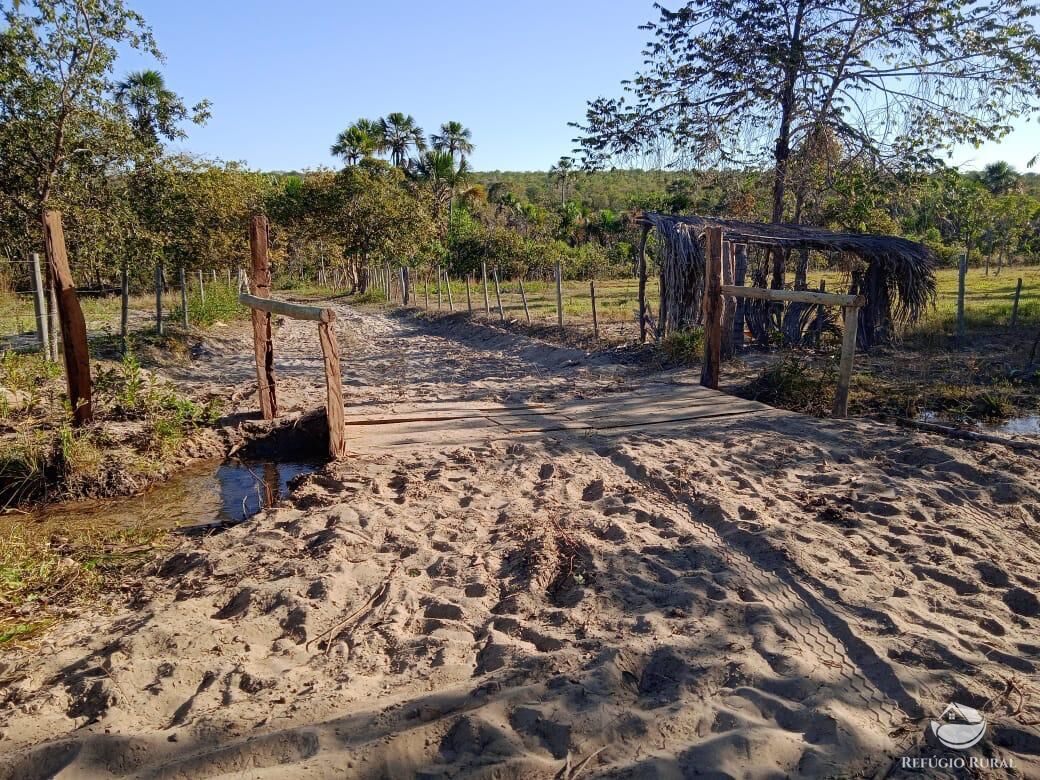 Fazenda, 10000 hectares - Foto 14