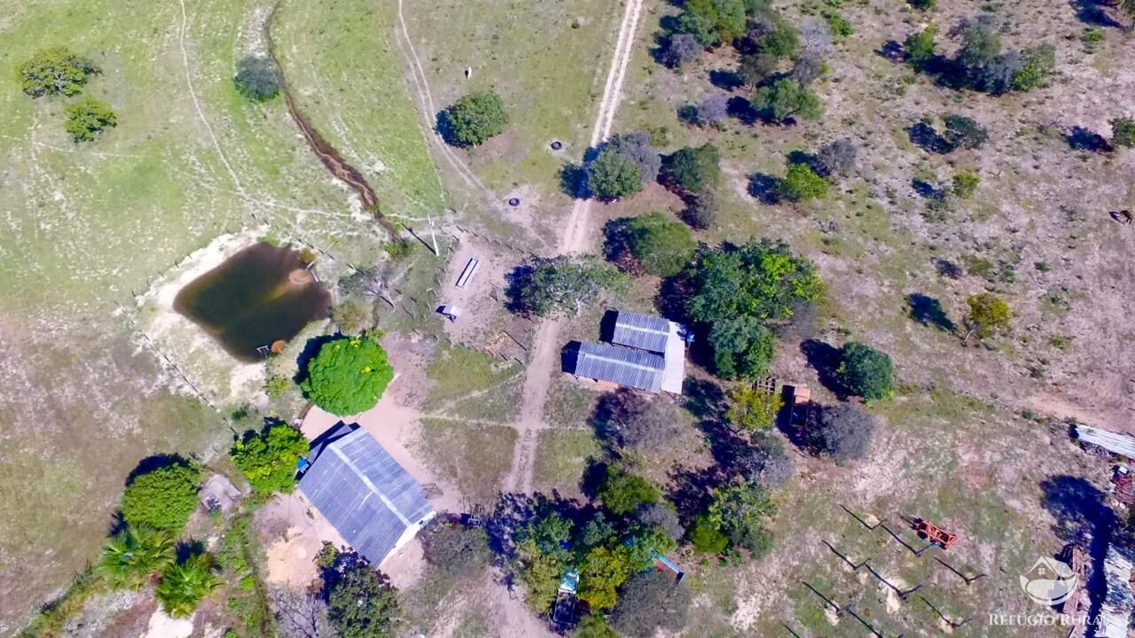 Fazenda, 10000 hectares - Foto 2