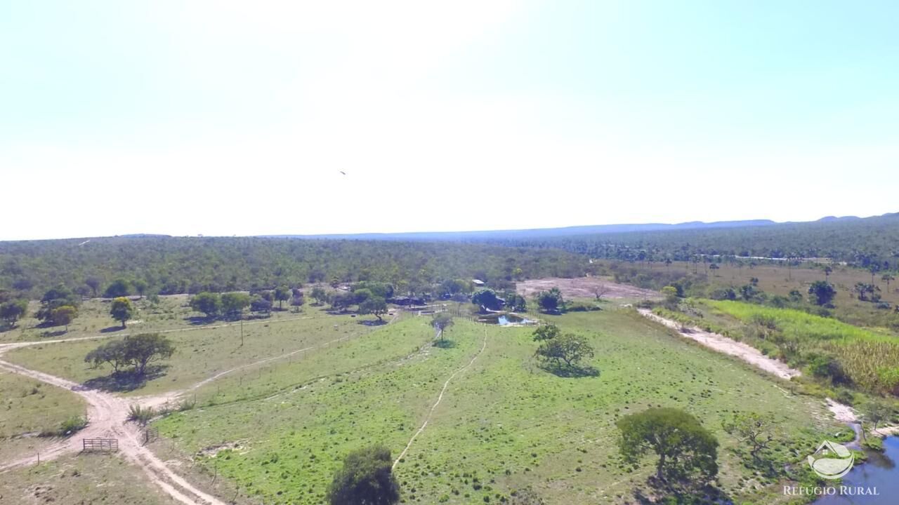 Fazenda, 10000 hectares - Foto 10