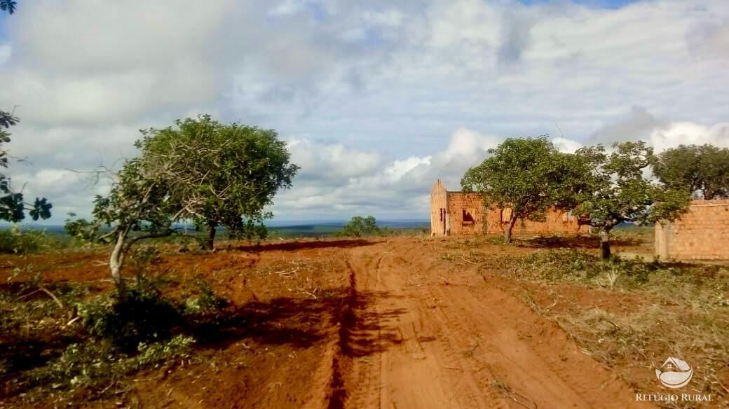Fazenda, 10000 hectares - Foto 22