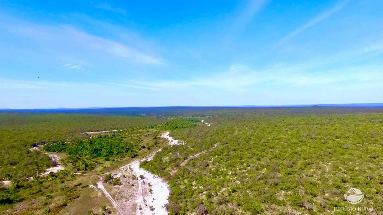 Fazenda, 10000 hectares - Foto 1