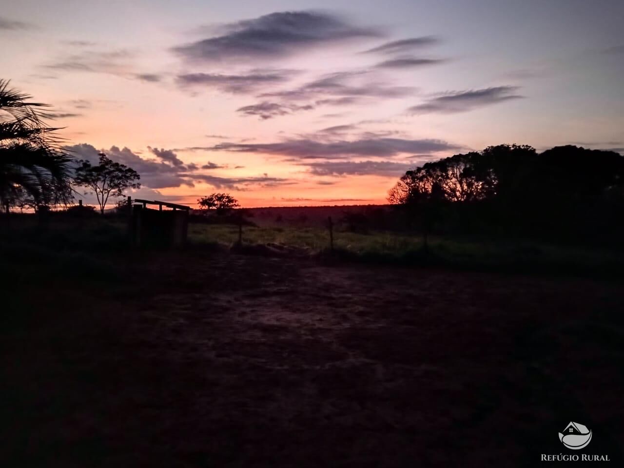 Fazenda, 10000 hectares - Foto 9