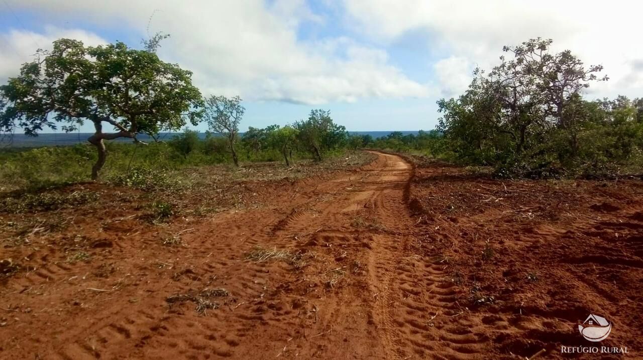 Fazenda, 10000 hectares - Foto 25