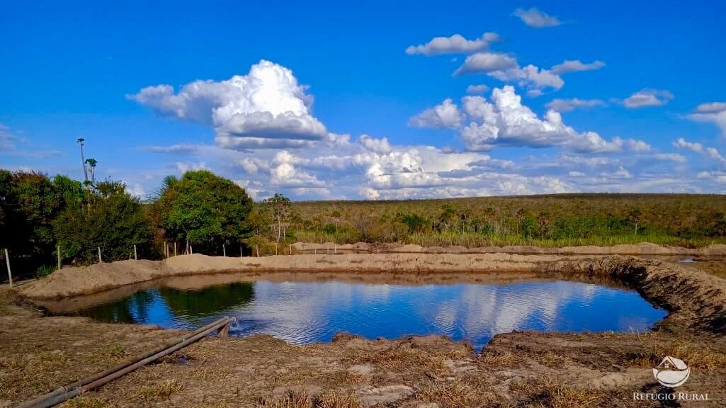Fazenda, 10000 hectares - Foto 4