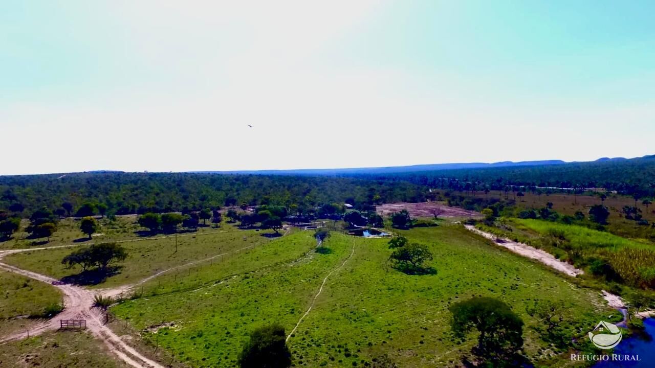 Fazenda, 10000 hectares - Foto 29