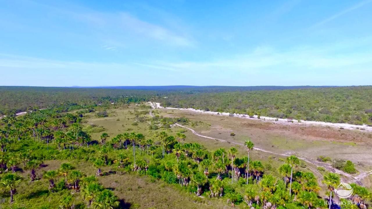 Fazenda, 10000 hectares - Foto 6