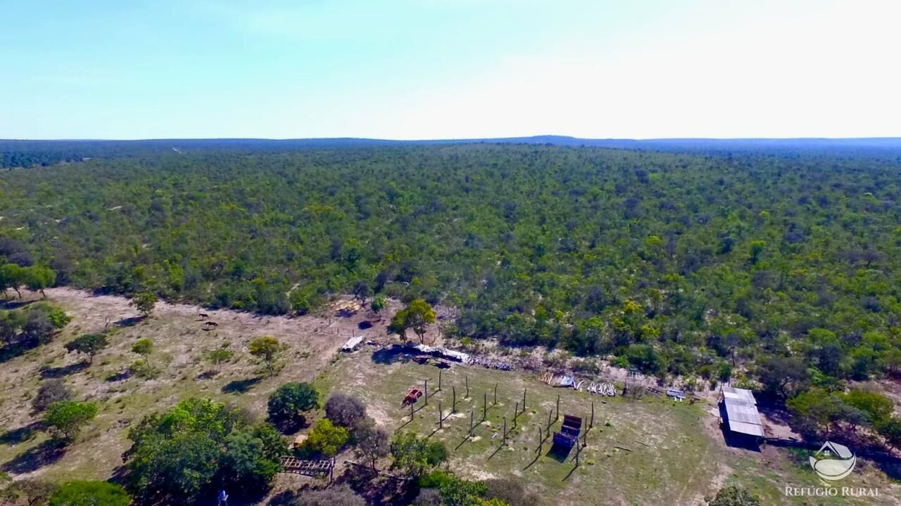 Fazenda, 10000 hectares - Foto 5