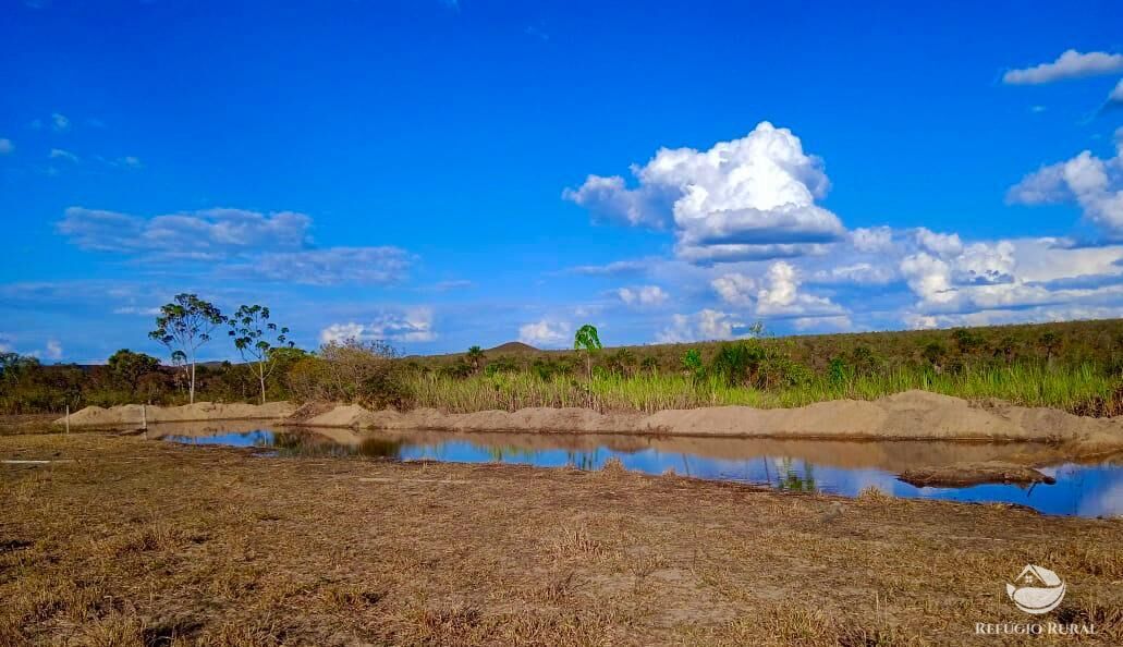 Fazenda, 10000 hectares - Foto 19