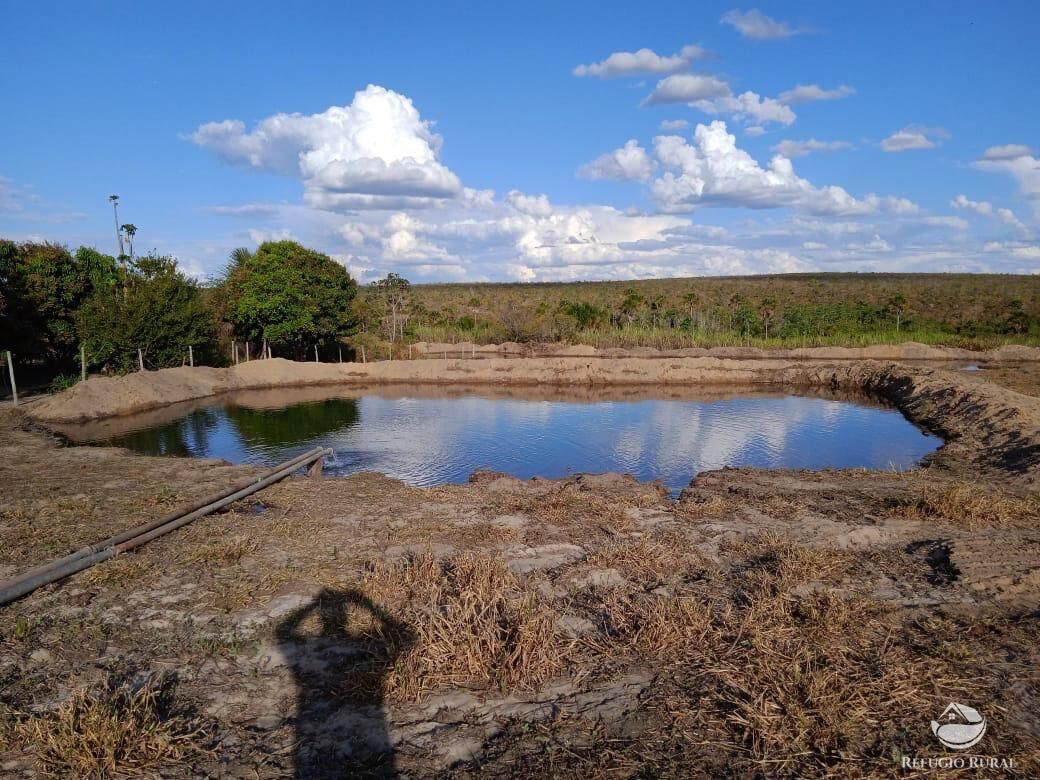 Fazenda, 10000 hectares - Foto 18