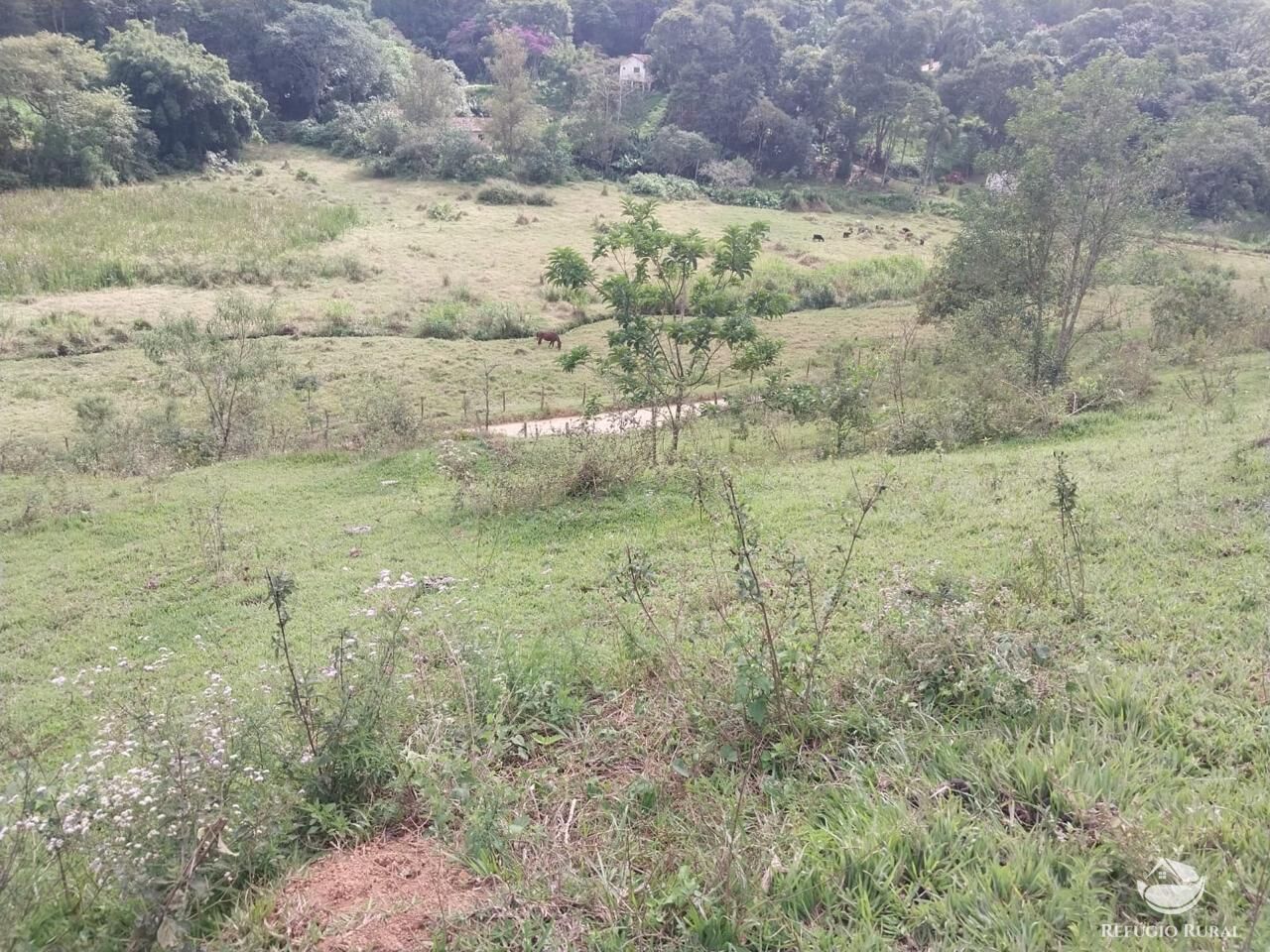 Terreno à venda, 31000m² - Foto 2