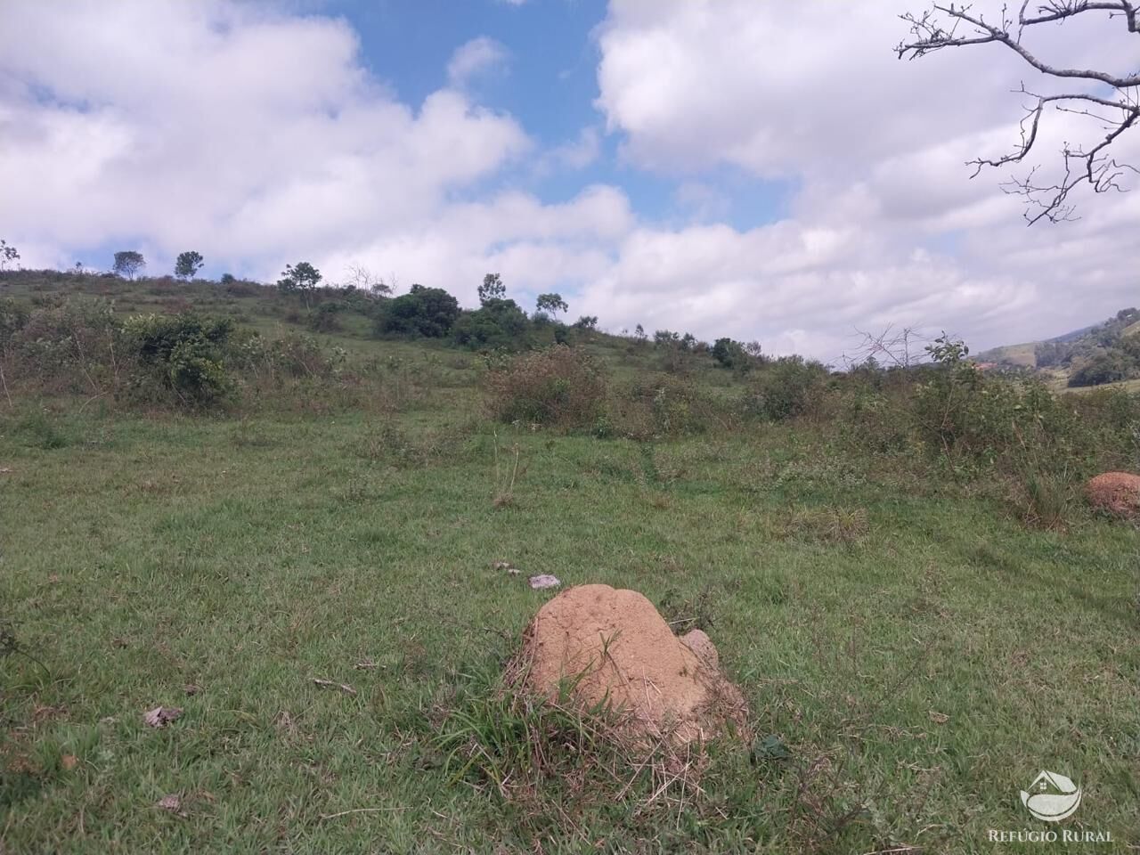 Terreno à venda, 31000m² - Foto 7