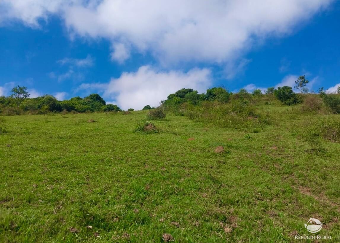 Terreno à venda, 31000m² - Foto 1