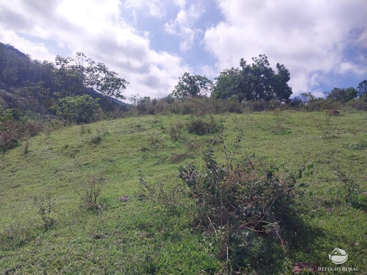 Terreno à venda, 31000m² - Foto 3