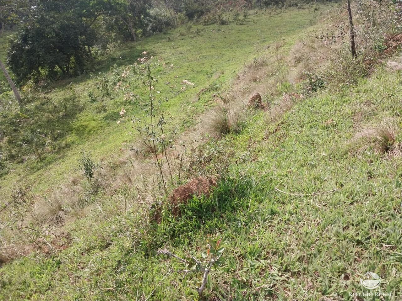 Terreno à venda, 31000m² - Foto 10