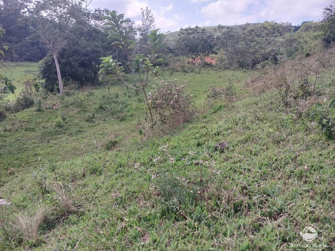 Terreno à venda, 31000m² - Foto 5