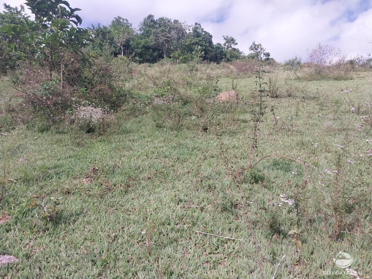 Terreno à venda, 31000m² - Foto 4