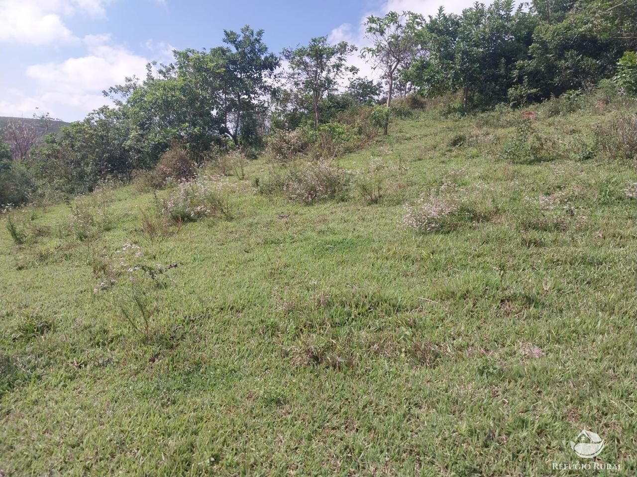 Terreno à venda, 31000m² - Foto 8