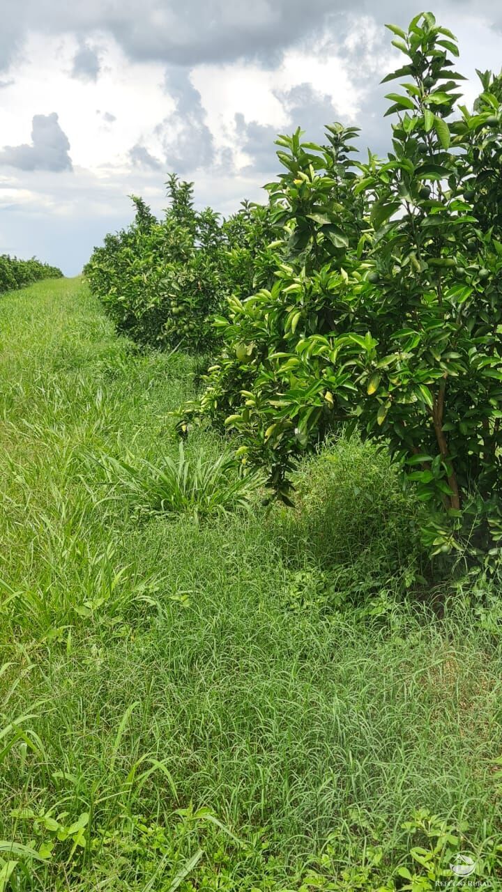 Fazenda à venda com 3 quartos, 4501200m² - Foto 9