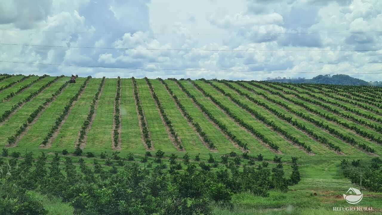 Fazenda à venda com 3 quartos, 4501200m² - Foto 3